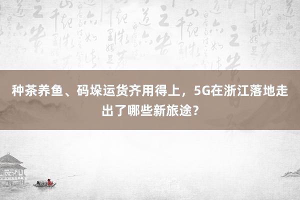 种茶养鱼、码垛运货齐用得上，5G在浙江落地走出了哪些新旅途？