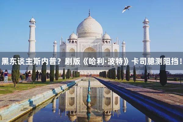 黑东谈主斯内普？剧版《哈利·波特》卡司臆测阻挡！