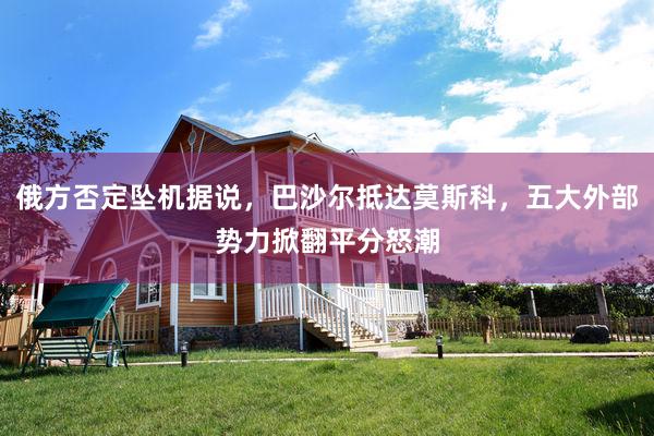 俄方否定坠机据说，巴沙尔抵达莫斯科，五大外部势力掀翻平分怒潮